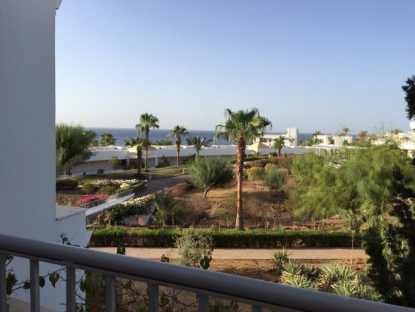 Готелі Єгипту 300.jpg