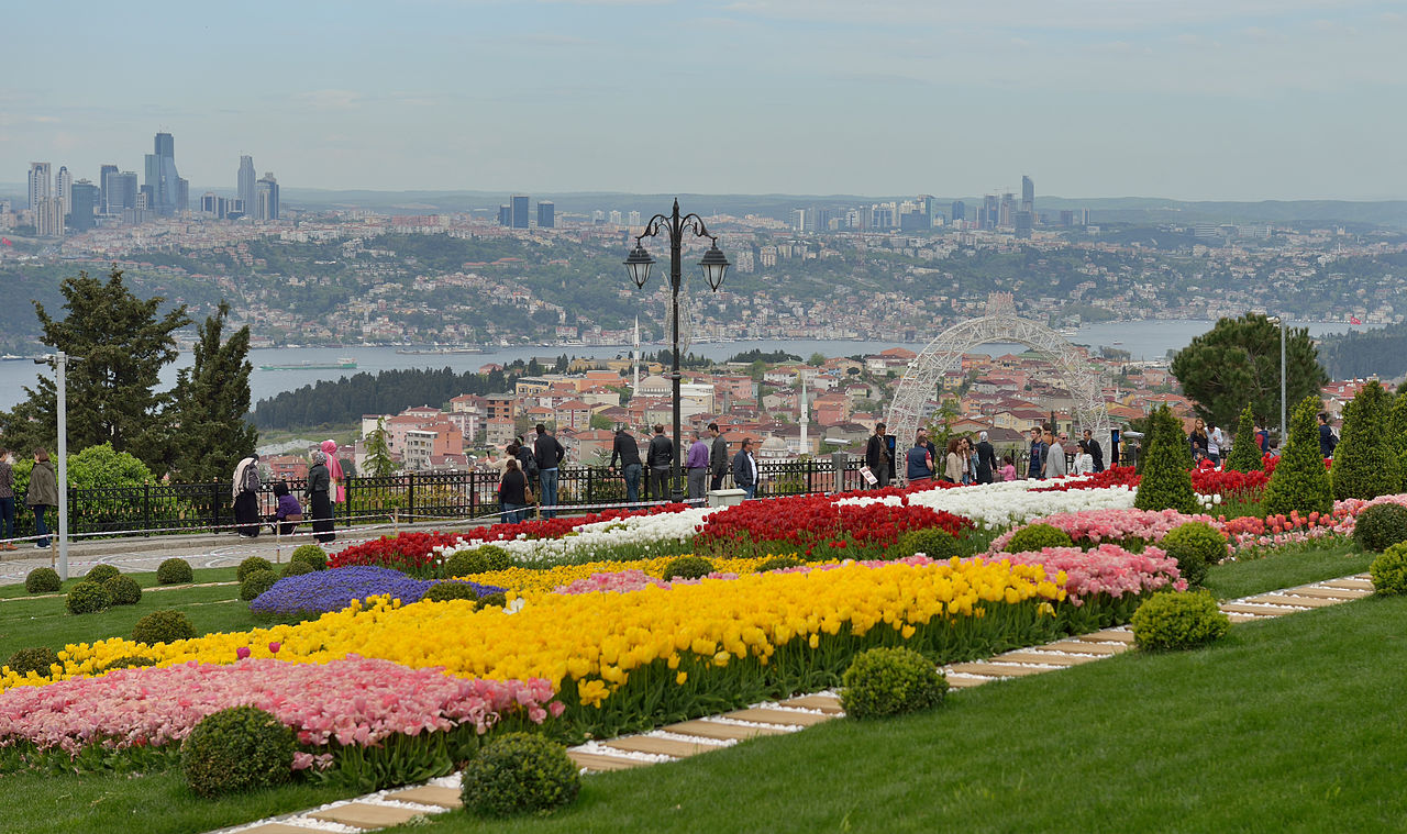 Tulips_Istanbul.jpg