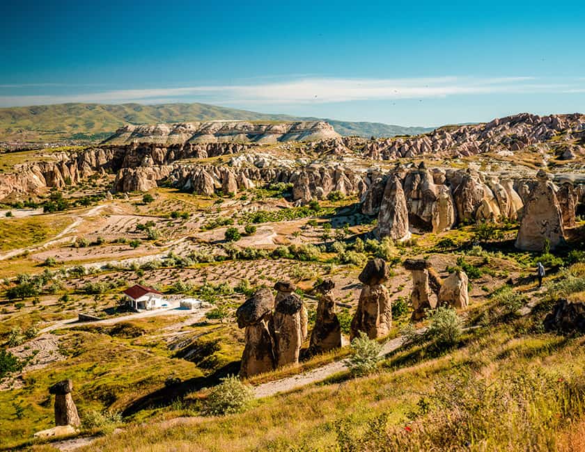 Түркия түкті кискасы бар Түркия түкті кискасы бар