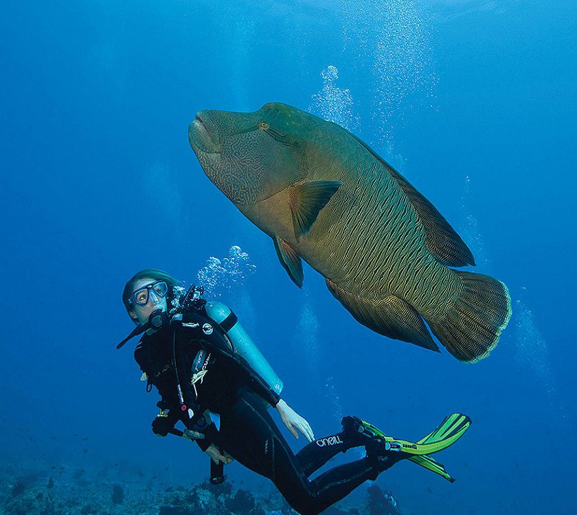 Дом 2 реалити-шоуындағы Алена Водонаева мен Степан Менщиковтың порно видеосы