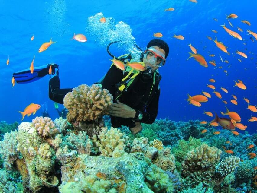 Дайвинг в Хургаде dajving-2-2.jpg