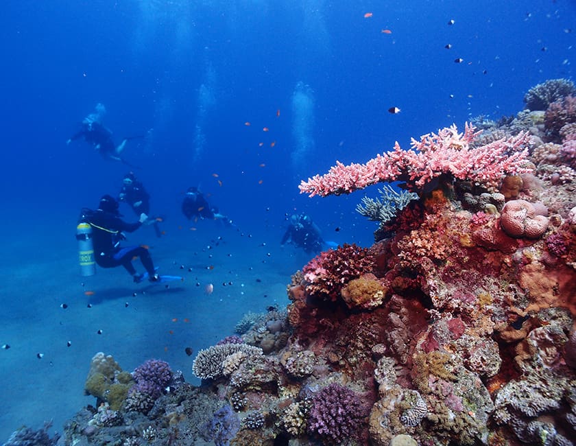 diving-egypt-7-min.jpg