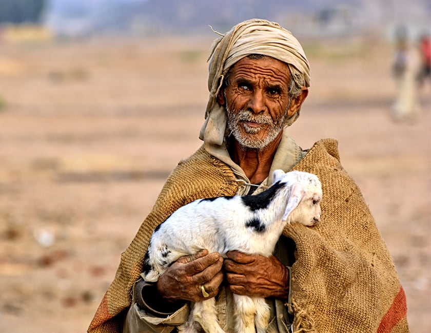 Бедуин egypt-beduin-min.jpg