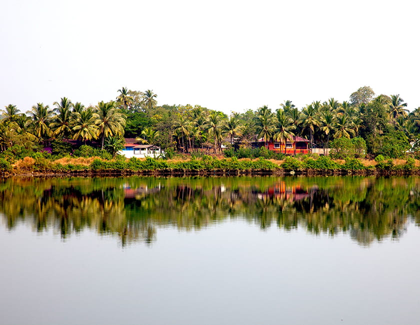 Тур в Индию india-goa-min.jpg