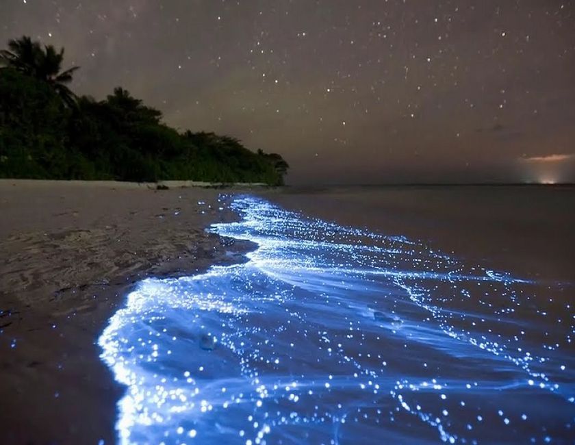 пляж Ваадху maxresdefault_13.jpg