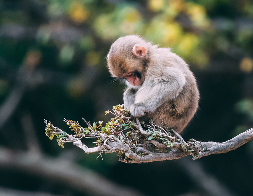Жетілген әйелдердің үйдегі жалаңаш порно фотосуреттері
