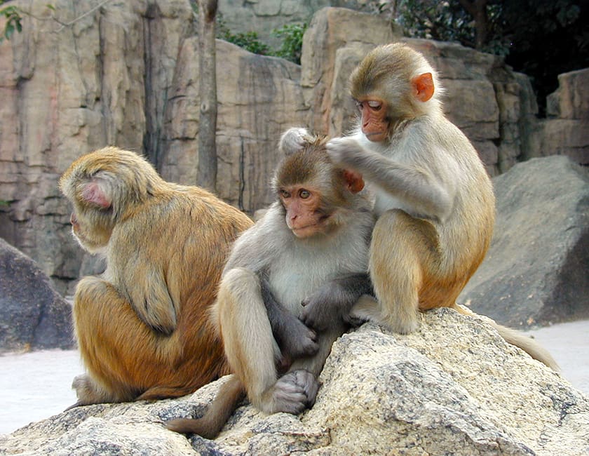 Секс порно ләззат видео