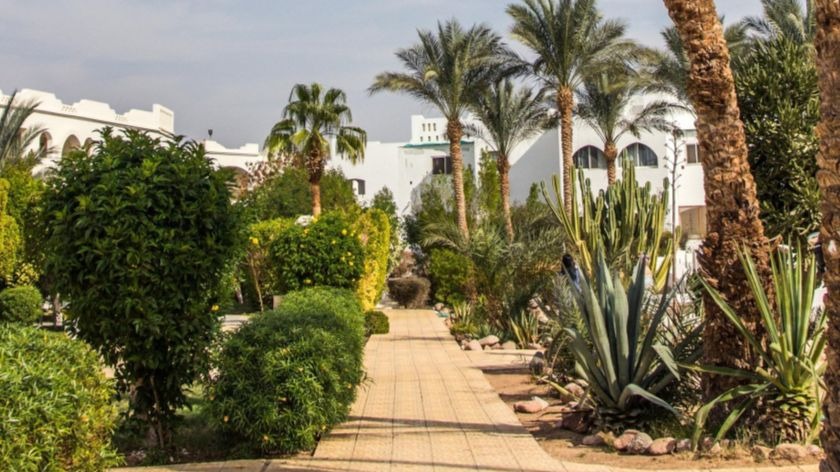 выбор гостиницы