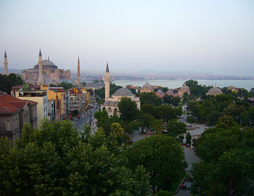 Қынаптар мен пенистердің фотосуреттері