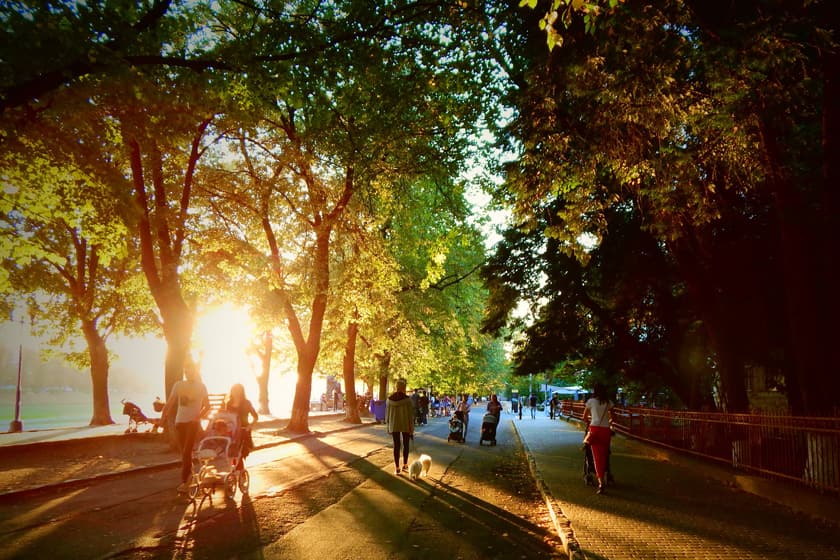 Липовая аллея в Ужгороде uzhgorod-lipova-aleya-min.jpg