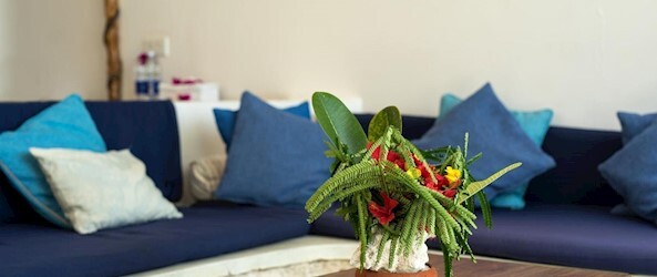 Ocean Front Two Rooms Bungalow