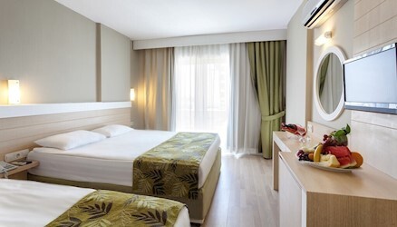 Standard Room Pool View