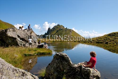 Фотографія Alpina 4*