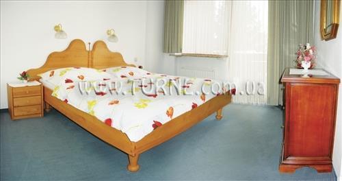 Готель Alpina 4*