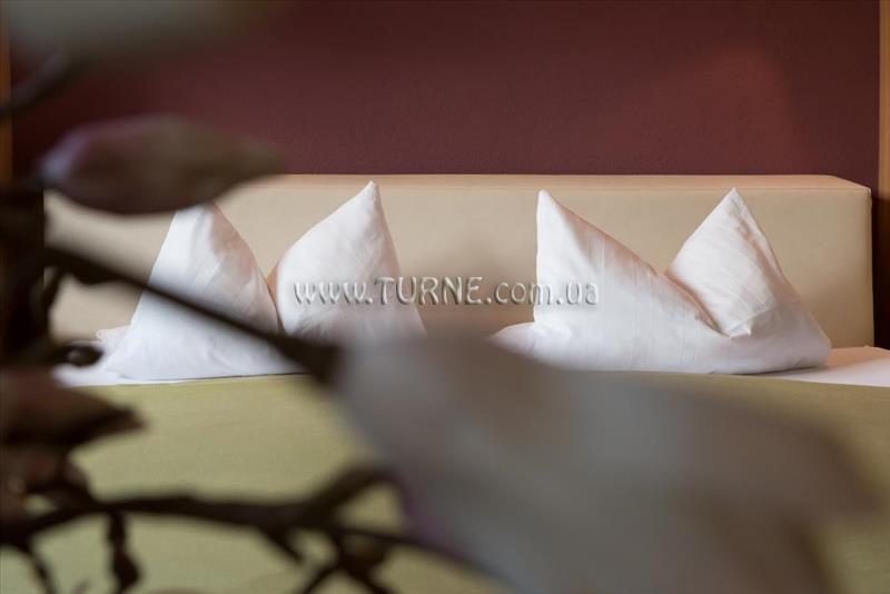 Фото Alpina Hotel Soelden 3*