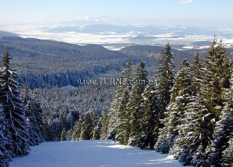 Фотографія Villa Park вилла