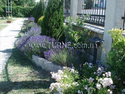 Фотография Villa Amfora вилла