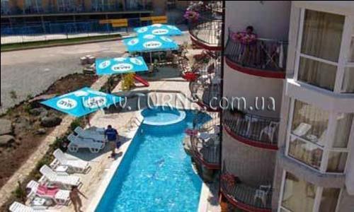 Фотография Dolphin 3*