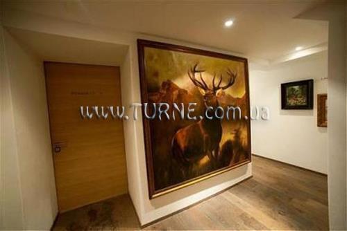 Изображение Cervo 3*