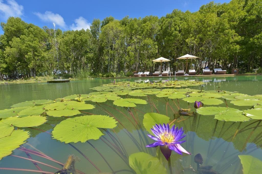 Фотографія Dreamland The Unique Sea & Lake Resort SPA 4*