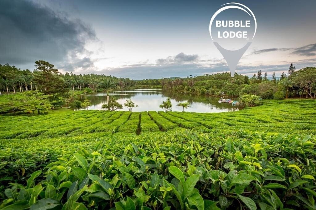 Фотография Bubble Lodge 4*