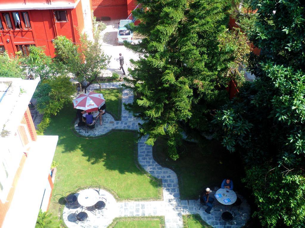 Отель Hotel Blue Horizon 3*