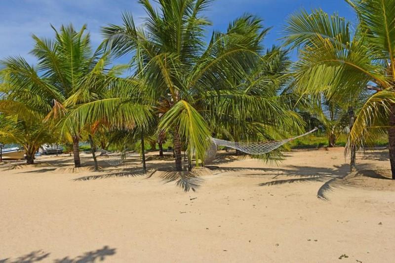 Изображение Marina Beach 3*