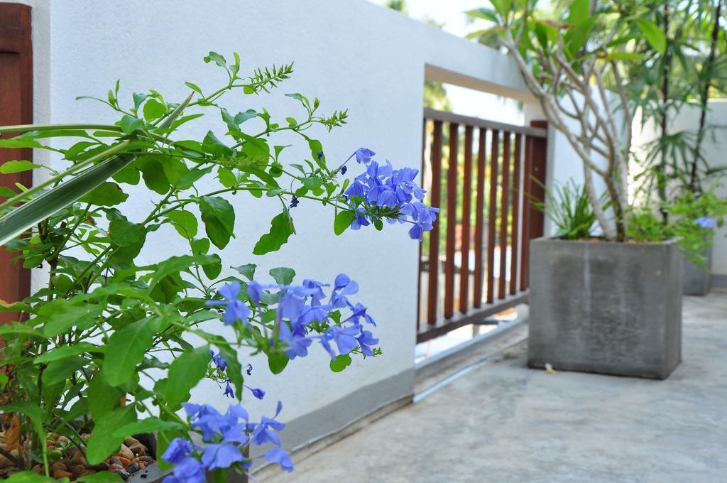 Картинка Brizo Weligama 3*