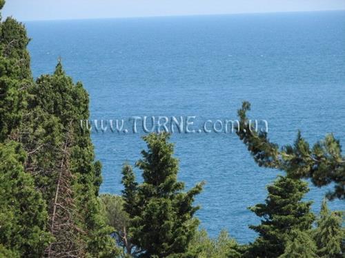 Готель Дача Курчатова санаторий