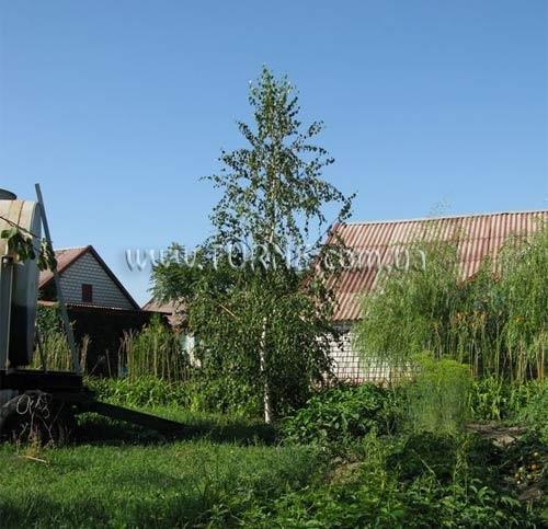 Отель Рыбачий база отдыха