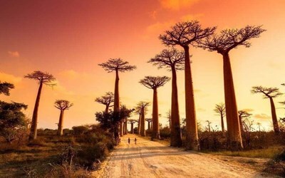 Гарячі тури з Києва