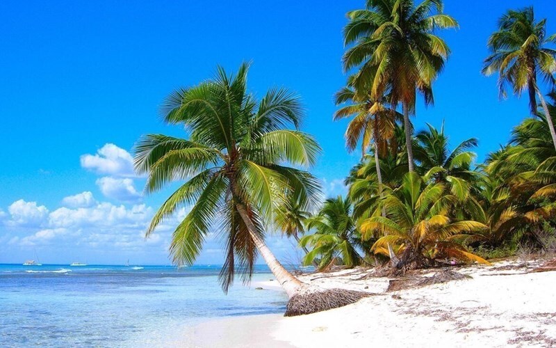 Отель Tangerine Beach Hotel 4*