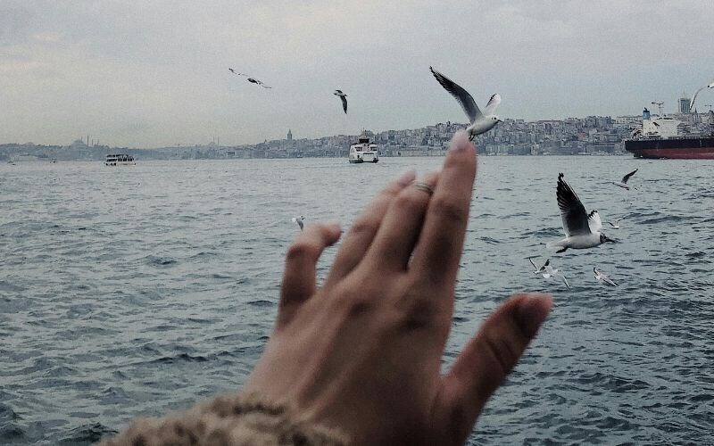 Фотографія