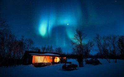 Поиск туров