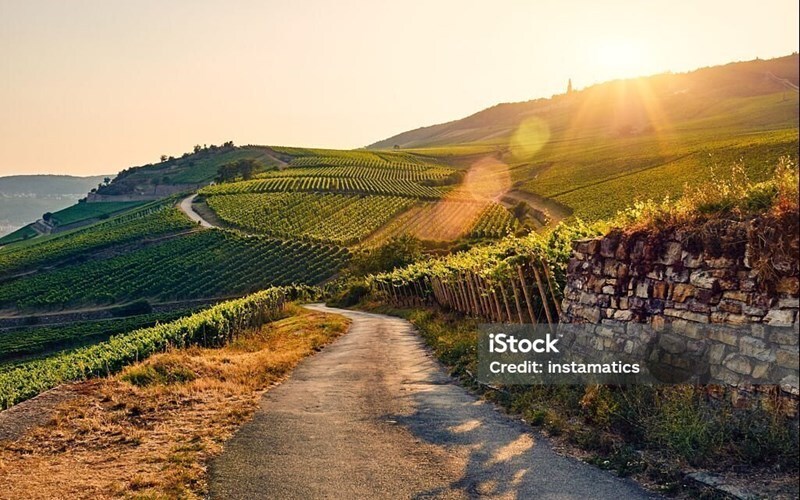 Фотографія