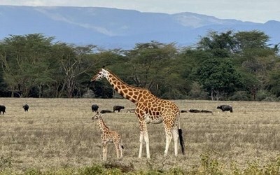 Горящие туры из Киева