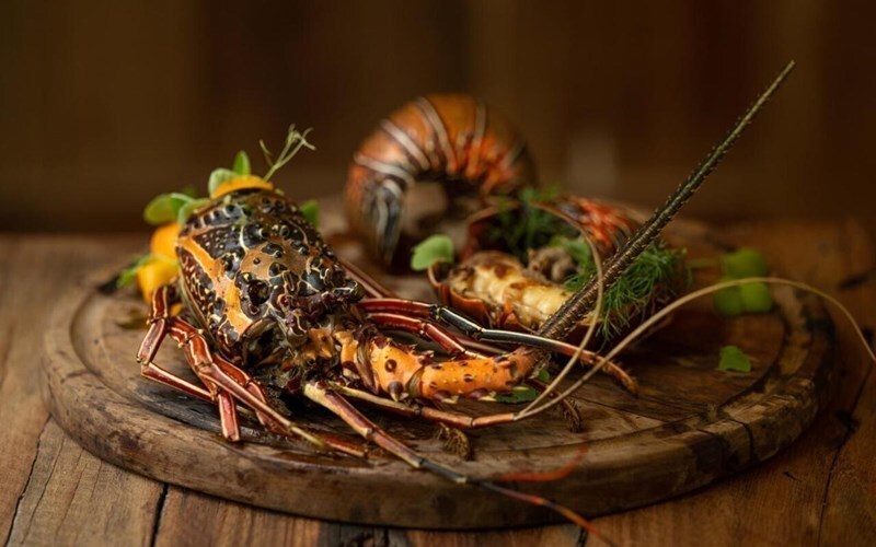 Картинка The One Resort 4*