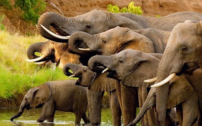 Горящие туры из Киева