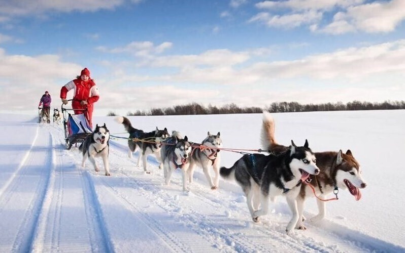 Зображення