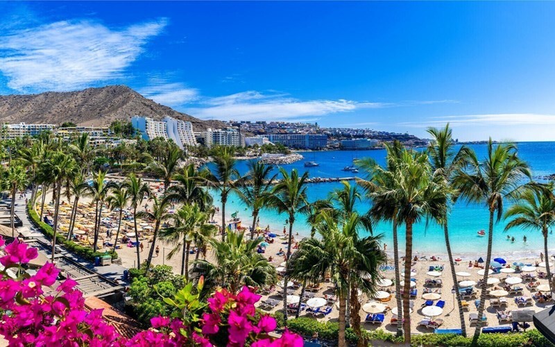 Фотографія  