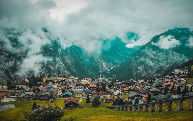 Фотография