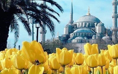 Горящие туры в Стамбул