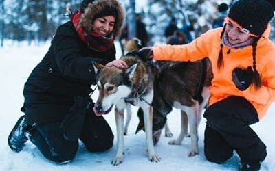 Поиск туров