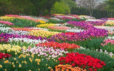 Тури на Варадеро